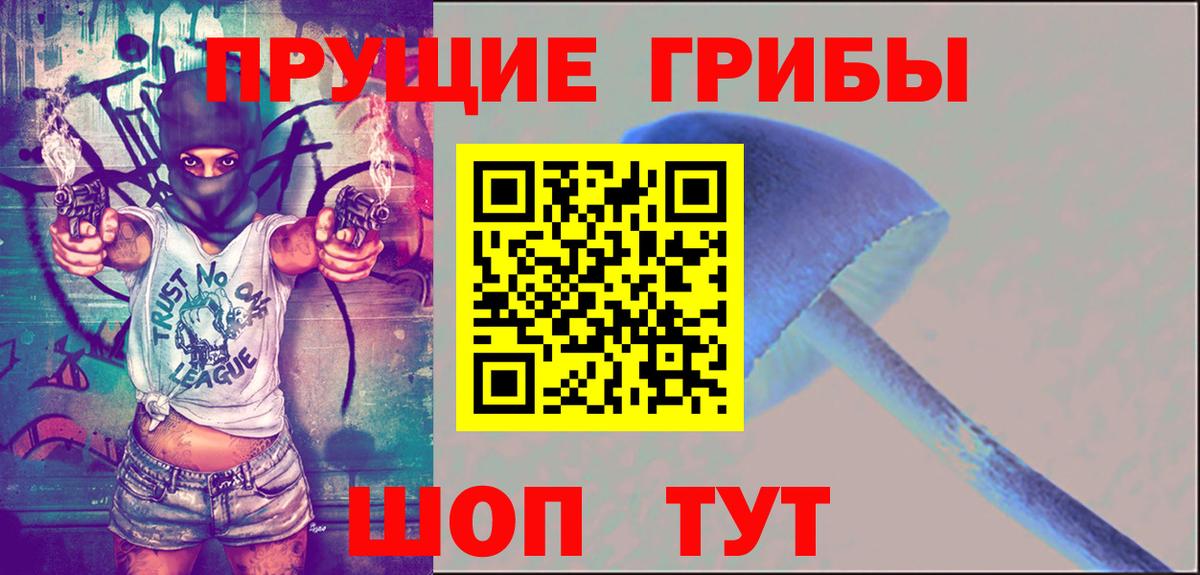купить наркотики цена  Псилоцибиновые грибы Cubensis  Коломна  Вход с VPN  Псилоцибиновые грибы Psilocybe 