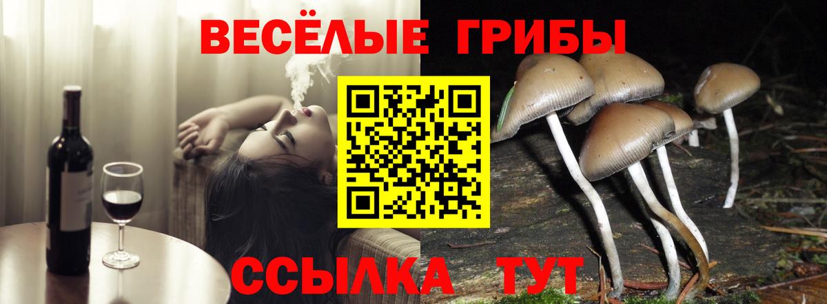 Галлюциногенные грибы Cubensis Коломна